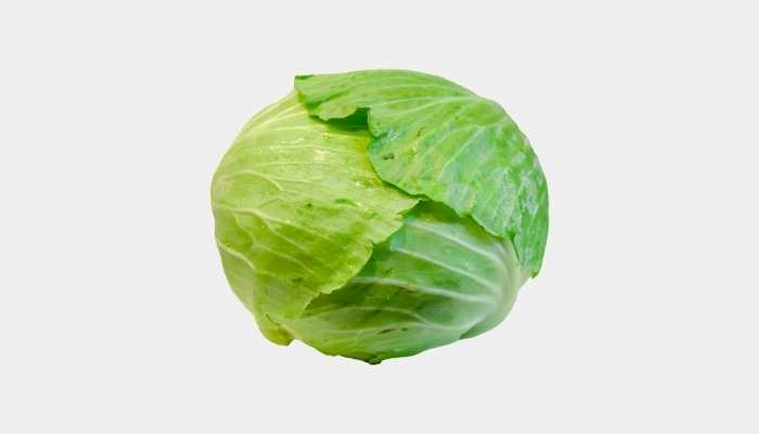 Cabbage