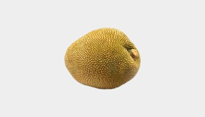 Jackfruit