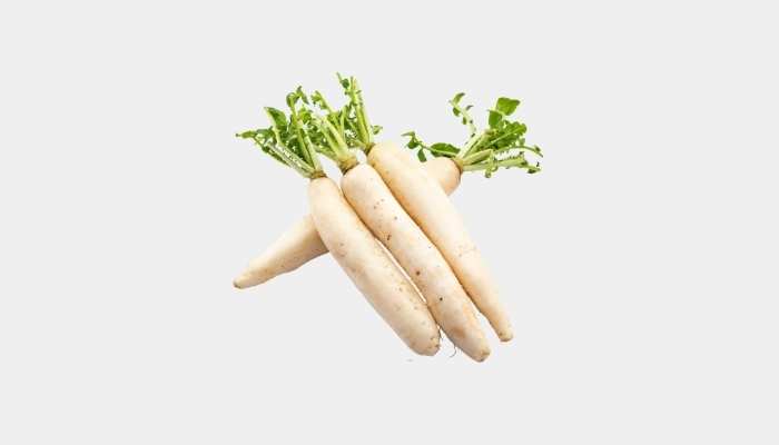 Radish