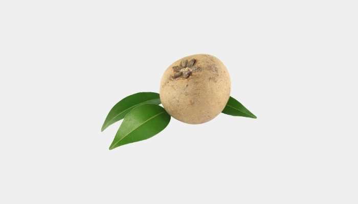 Sapodilla