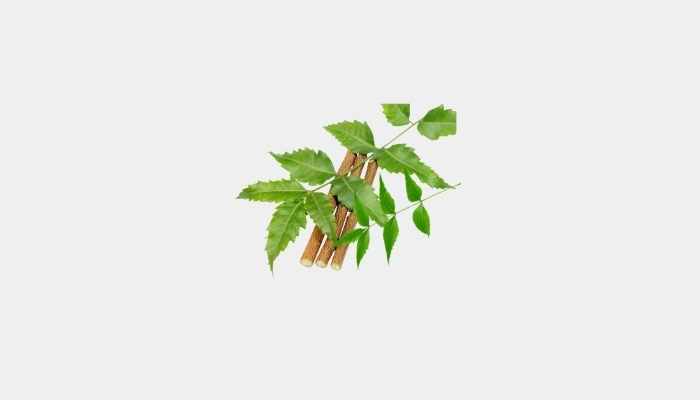 Neem Leaves