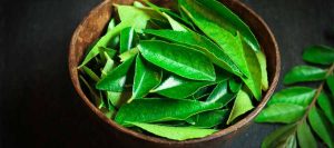 neem-leaf