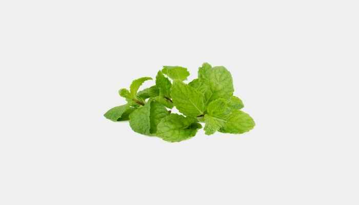 peppermint leaves