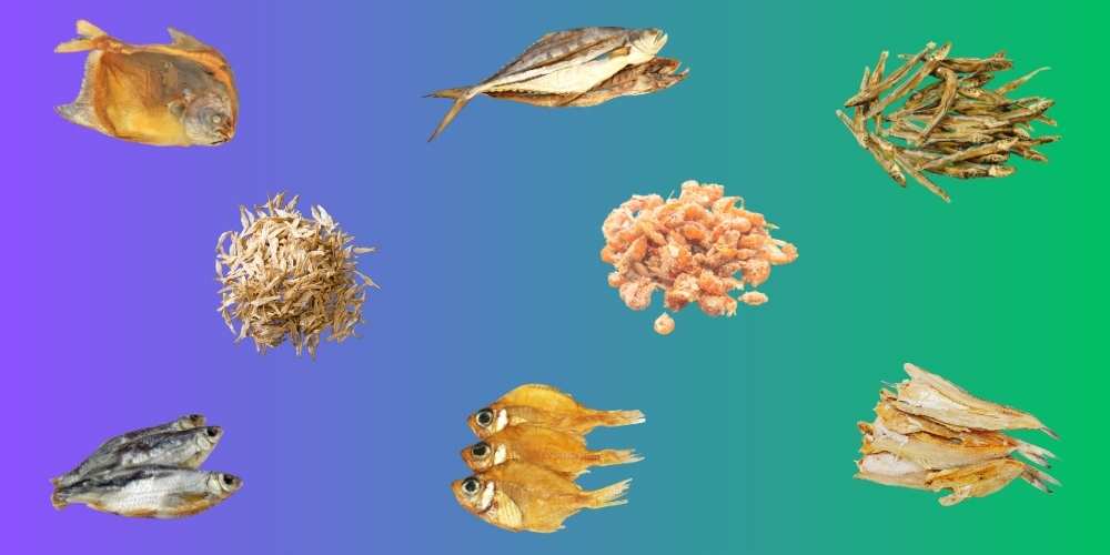 Dried Fish Delights: Exploring Benefits and Availability in Bangladesh’s Culinary Landscape